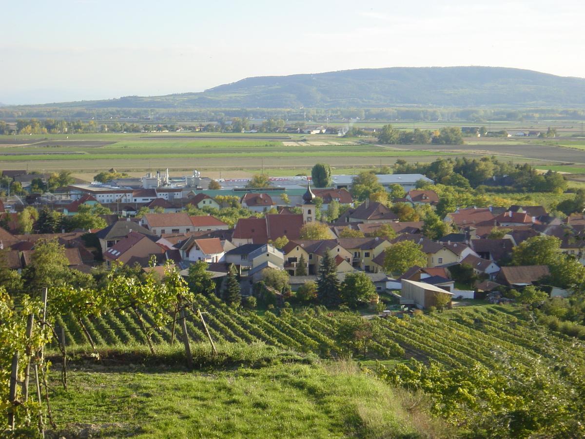 Weingut Und Gaestehaus Berger Gedersdorf 외부 사진